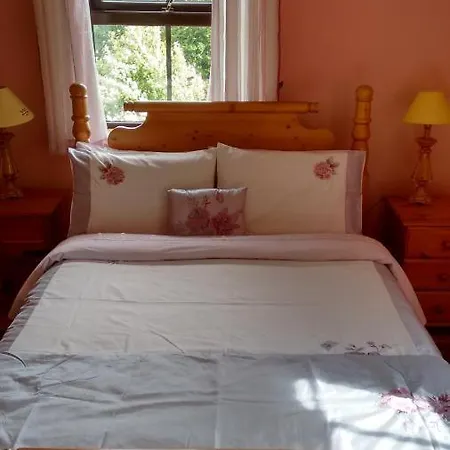 Grannagh Castle House Bed & Breakfast Waterford Exterior photo
