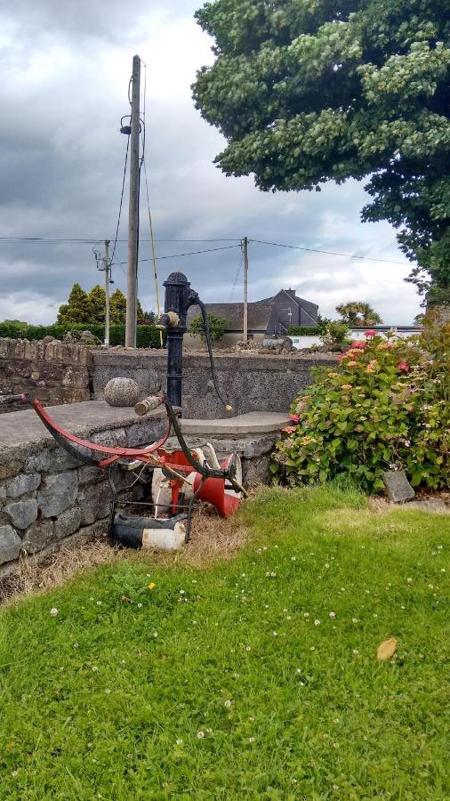 Grannagh Castle House * Waterford